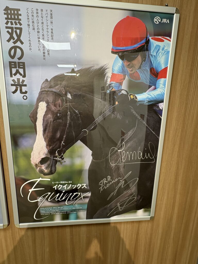 JRA 美浦トレーニング・センターへ行ってみた（競走馬の調教が見学